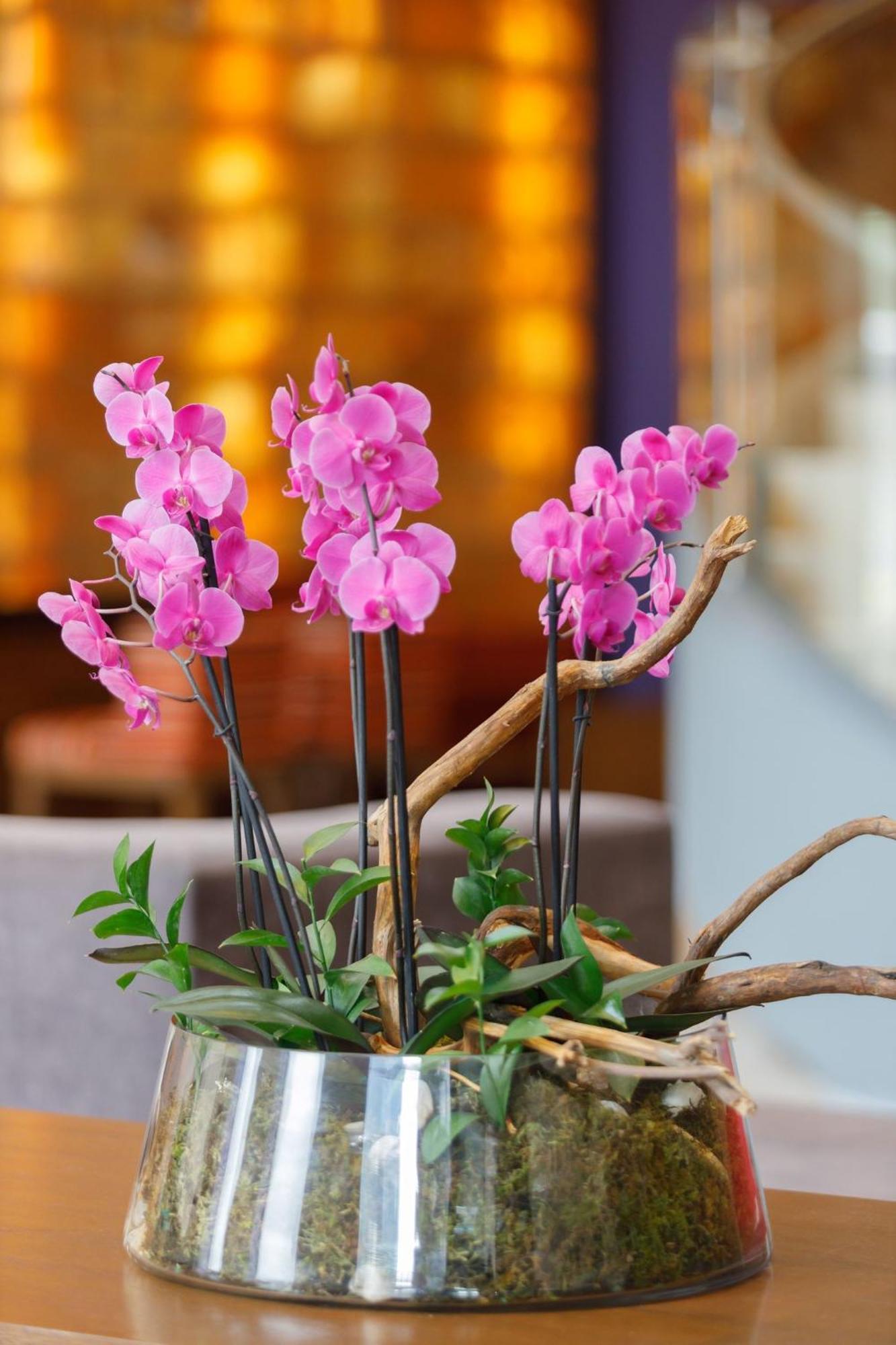 Camino Real Pedregal Mexico Hotel Kültér fotó Flower arrangement
